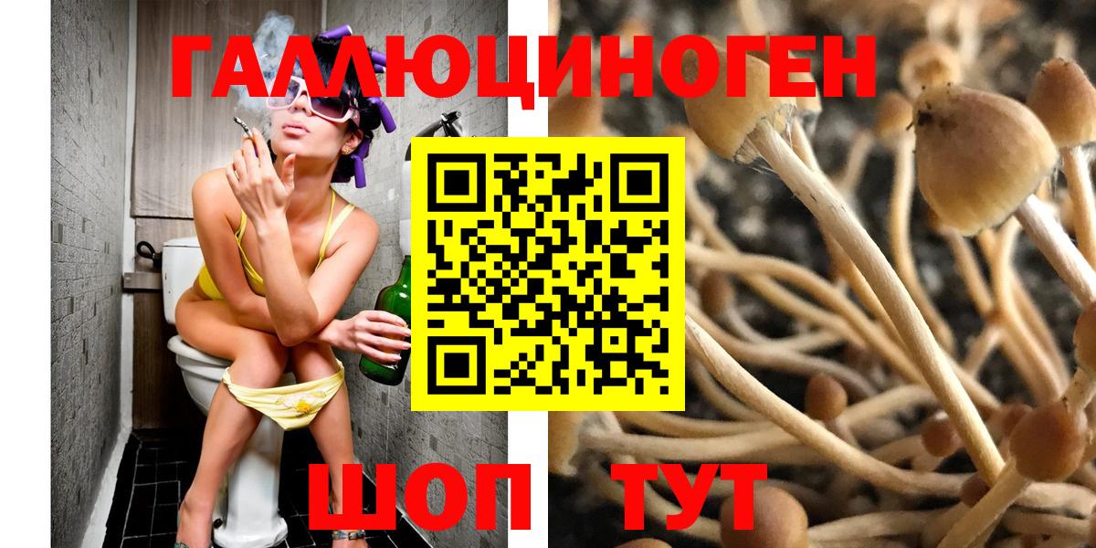 Галлюциногенные грибы Psilocybine cubensis Туймазы